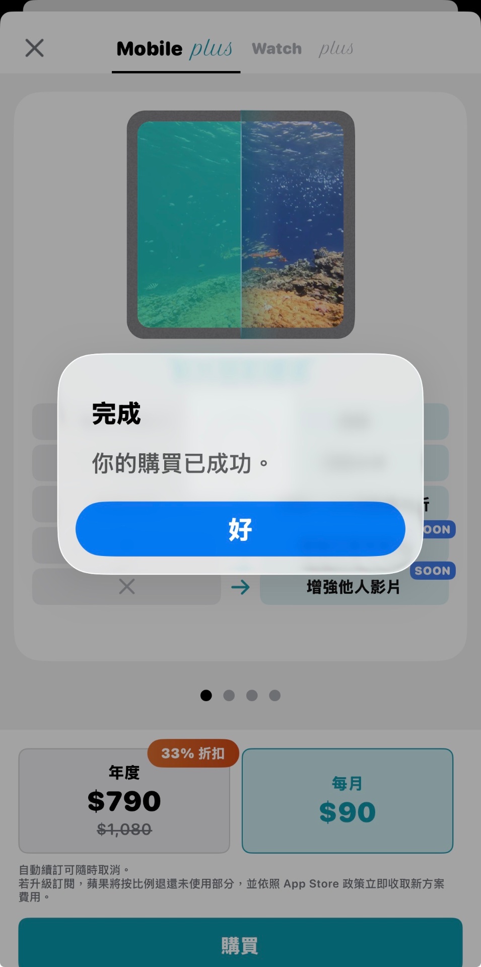 購買成功